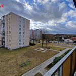 Rent 2 bedroom apartment of 52 m² in Mohelnice