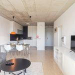 Rent 2 bedroom apartment of 56 m² in Karlova Ves