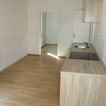 Rent 3 bedroom apartment of 53 m² in Steiermark