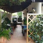 Rent 6 bedroom house of 110 m² in Palermo