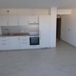 Rent 1 bedroom apartment of 30 m² in Montpellier