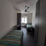 Rent a room of 168 m² in Verona