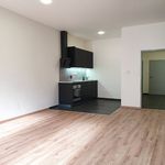 Pronajměte si 1 ložnic/e byt o rozloze 59 m² v Hlucin