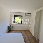 Rent 2 bedroom apartment of 51 m² in LA NAPOULE