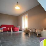 Rent 2 bedroom apartment of 53 m² in Colmar