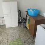 Rent 5 bedroom apartment of 100 m² in Castelvetrano