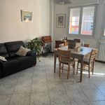 Rent 2 bedroom apartment of 100 m² in bologna
