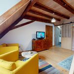 Rent 2 bedroom apartment of 35 m² in Turckheim