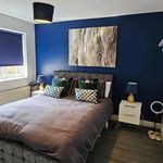 Rent 2 bedroom apartment in Ballyclare