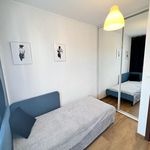 Rent 5 bedroom apartment in Poznań