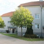 Rent 4 bedroom apartment of 93 m² in Pöchlarn