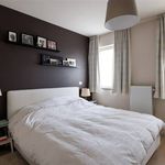 Rent 3 bedroom apartment in De Pinte