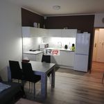 Rent 6 bedroom apartment of 60 m² in Olomouc