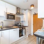 Rent 3 bedroom student apartment of 22 m² in Brighton