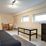 Wynajmij 1 sypialnię apartament z 32 m² w Bnin