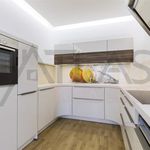 Rent 4 bedroom apartment of 142 m² in Praha