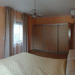 Rent 19 bedroom apartment in Karlovy Vary