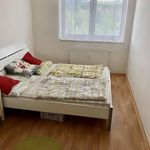 Rent 2 bedroom apartment of 47 m² in Jihlava