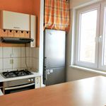Rent 1 bedroom apartment of 64 m² in Číhošť