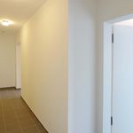 Miete 1 Schlafzimmer wohnung von 91 m² in Trier