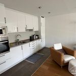 Rent 3 bedroom apartment of 71 m² in Bonn