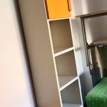 Rent 1 bedroom student apartment of 62 m² in Roma