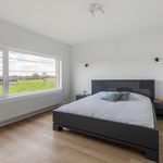Huur 4 slaapkamer huis van 197 m² in Broechem