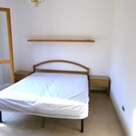 Rent 3 bedroom house of 50 m² in Anzio