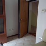 Rent 2 bedroom apartment of 65 m² in Ravenna