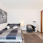 Rent 6 bedroom apartment in Padova