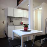 Rent 1 bedroom apartment of 24 m² in Praha 2