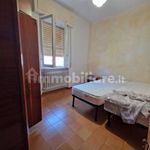 Rent 3 bedroom apartment of 55 m² in Rosignano Marittimo