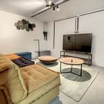 Rent a room of 250 m² in Schaerbeek