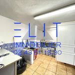 Rent 1 bedroom apartment of 38 m² in Le Mans