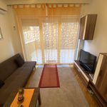Najam 3 spavaće sobe stan od 44 m² u Primorsko-goranska