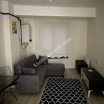 Rent 2 bedroom apartment of 55 m² in Büyükdere