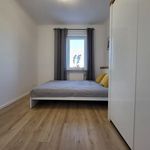 Rent 2 bedroom house of 37 m² in Ząbki