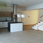 Rent 4 bedroom house of 154 m² in Ostrava