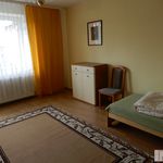 Rent 3 bedroom house of 85 m² in Kraków