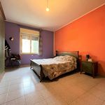Affitto 3 camera appartamento di 100 m² in Catanzaro