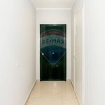Affitto 4 camera appartamento di 105 m² in Catania