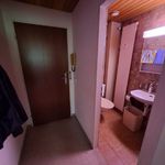 Rent 1 bedroom apartment in Bottmingen