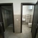 Affitto 1 camera appartamento di 460 m² in Prato