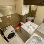 Rent 1 bedroom apartment of 24 m² in Puteaux