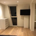 Rent a room of 125 m² in Rotterdam