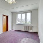 Rent 1 bedroom apartment in Plzeň