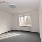 Rent 1 bedroom apartment of 70 m² in Litovel
