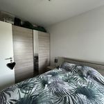 Huur 1 slaapkamer appartement van 58 m² in Péruwelz