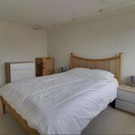 Rent 3 bedroom house in Basingstoke
