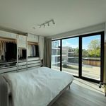 Rent 1 bedroom apartment in Halle